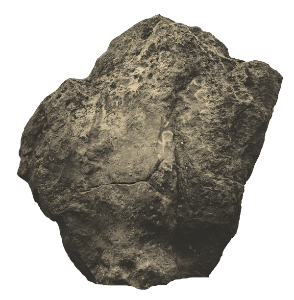 introduction-image