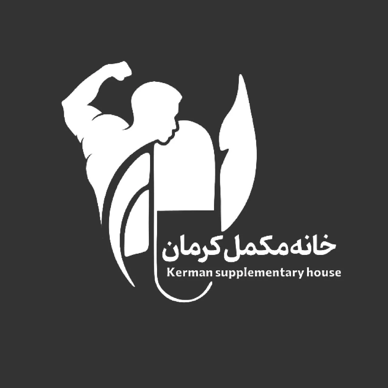 طراحی لوگو خانه مکمل کرمان | اسمارلوکس