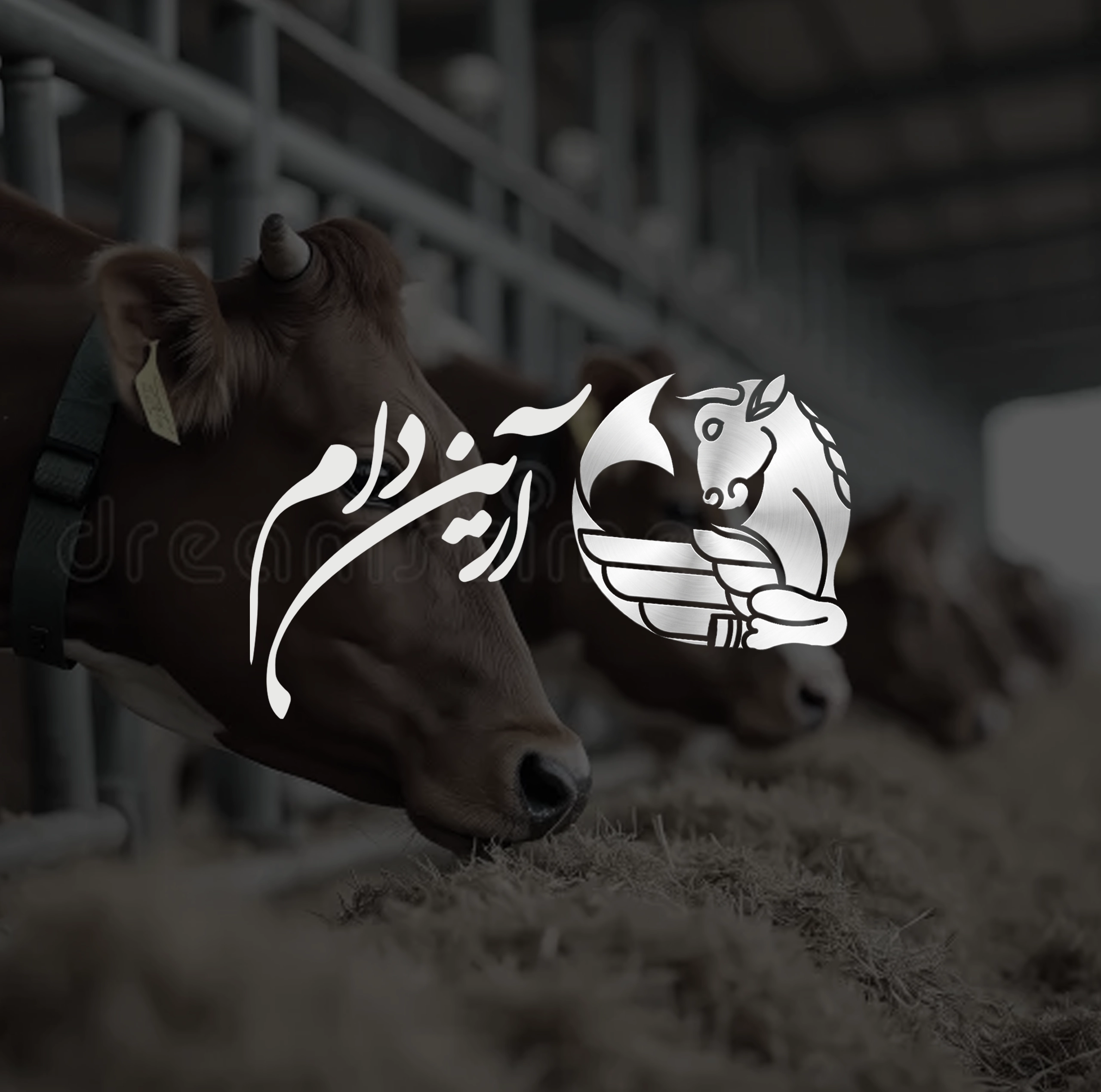 طراحی لوگو آرین دام | اسمارلوکس