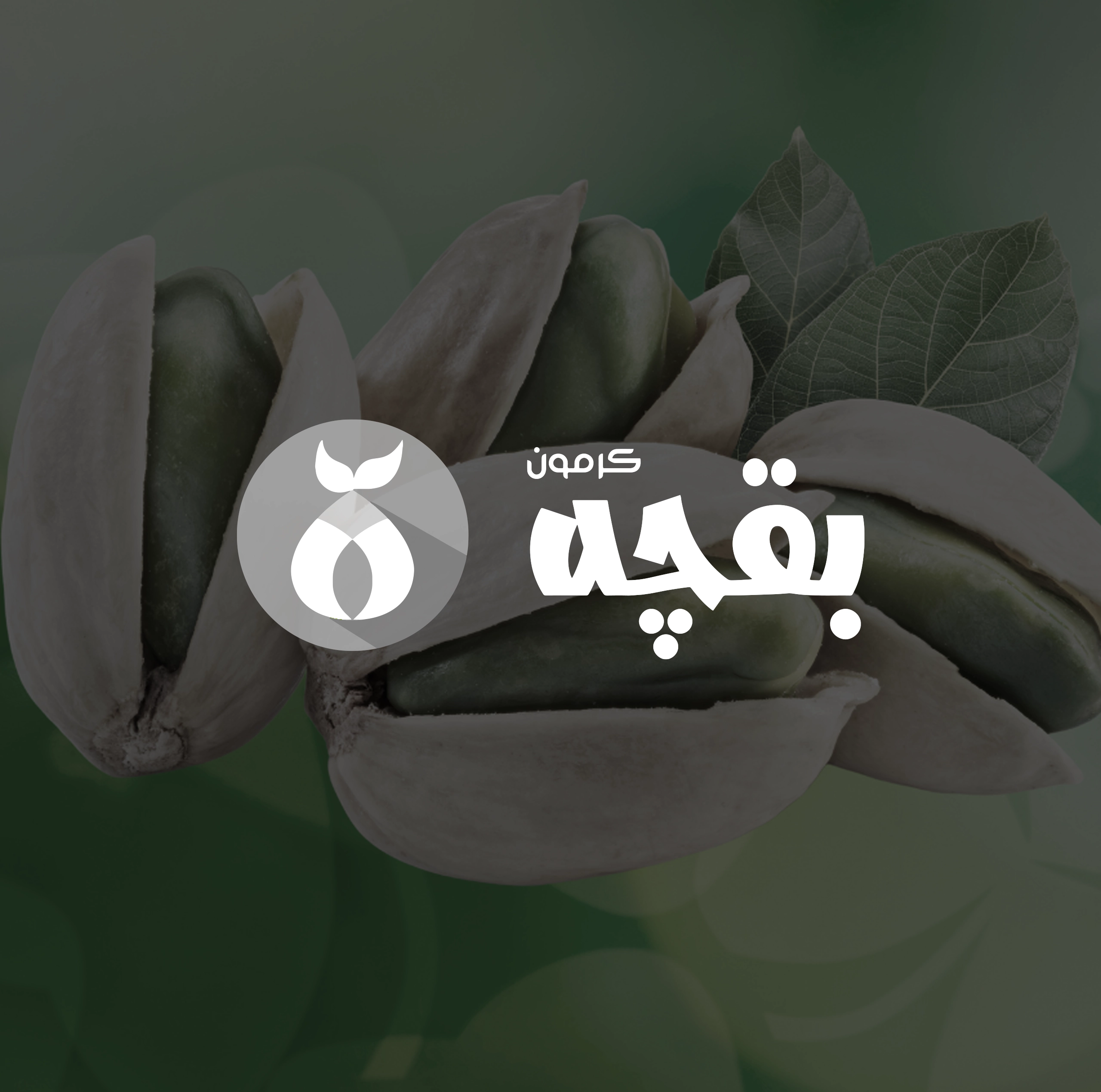 طراحی لوگو محصولات کشاورزی بقچه | اسمارلوکس